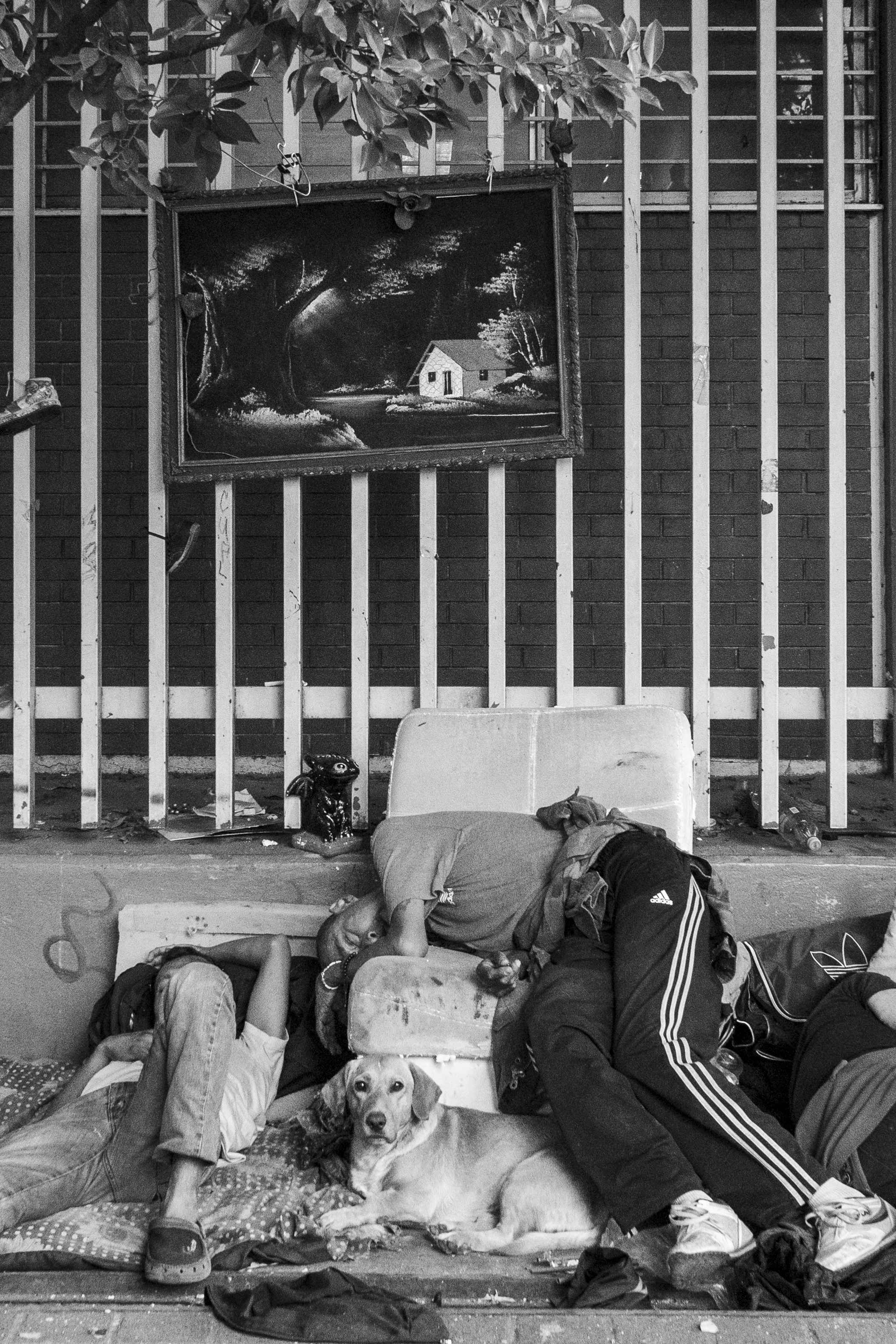 El Paisaje Prestado: La Construcción de un Hogar Simbólico.